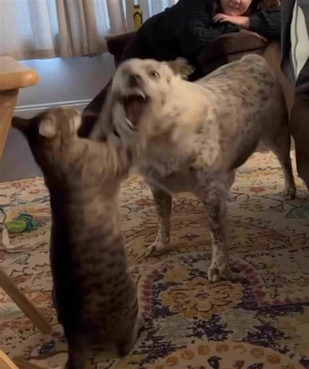 Klyker Picdump #1270 (55 photos)