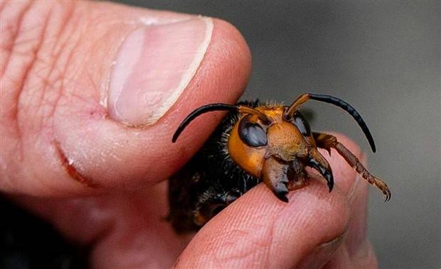 Klyker Picdump #1270 (55 photos)