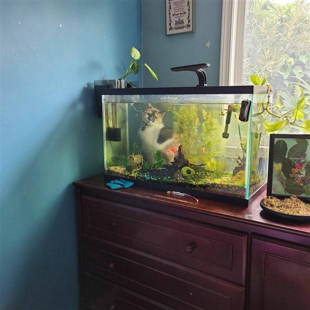 Klyker Picdump #1270 (55 photos)