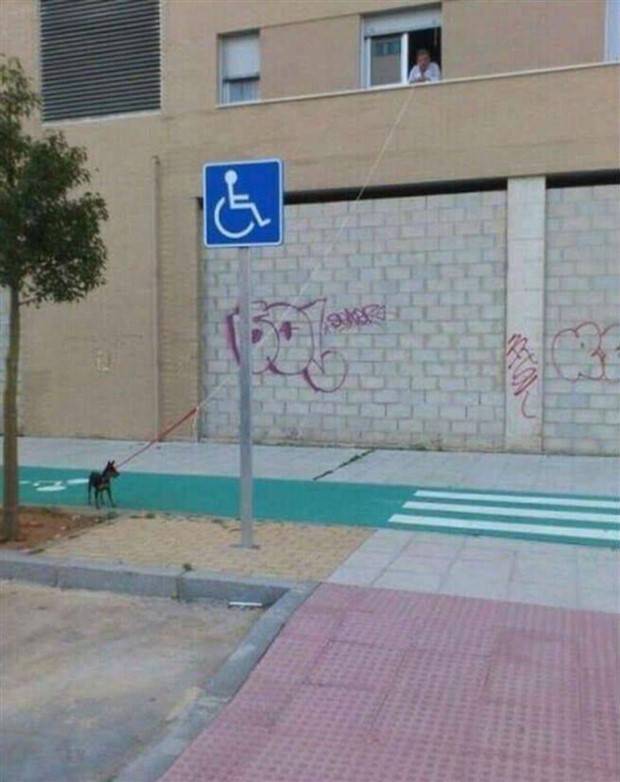 klyker picdump 8 21 2023 24 Klyker Picdump #1271 (51 photos)