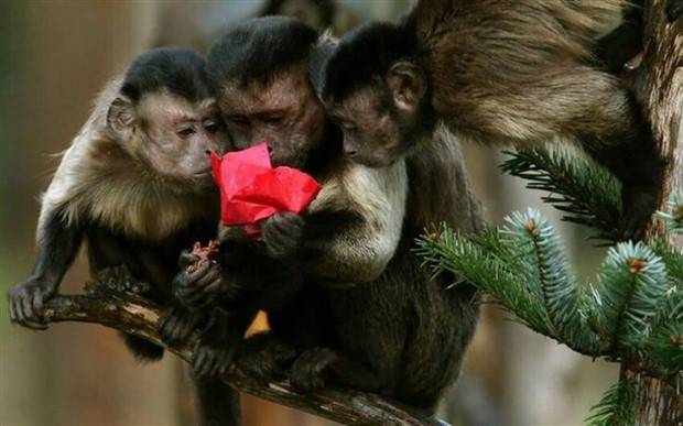 klyker picdump 8 21 2023 35 Klyker Picdump #1271 (51 photos)