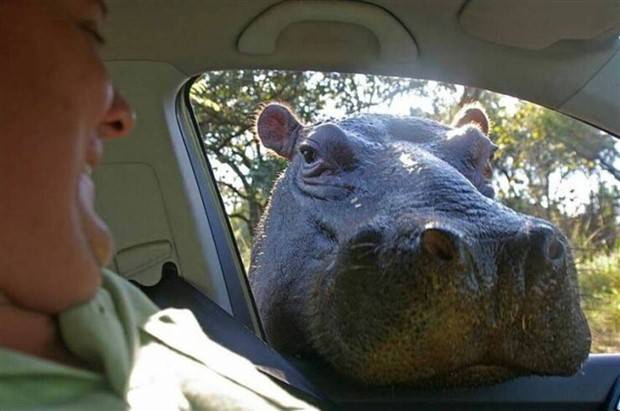 klyker picdump 8 21 2023 41 Klyker Picdump #1271 (51 photos)