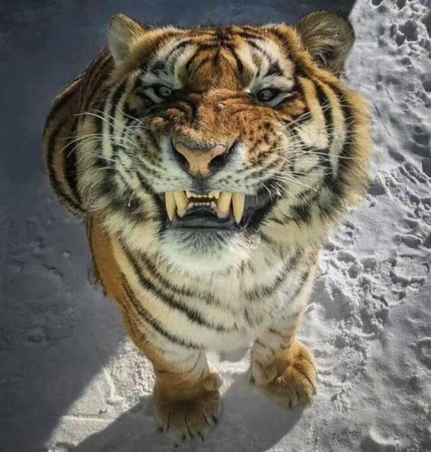 klyker picdump 8 21 2023 8 Klyker Picdump #1271 (51 photos)