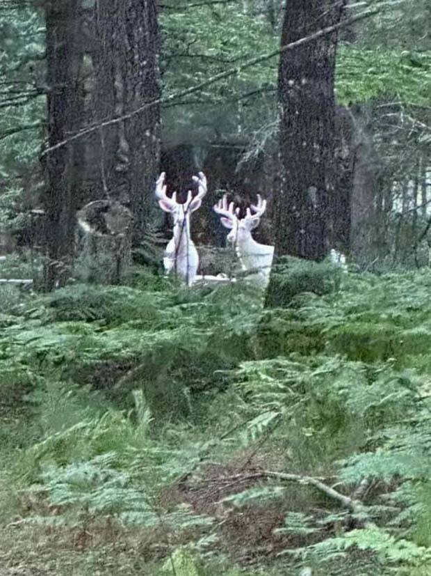 Klyker Picdump #1275 (55 photos)