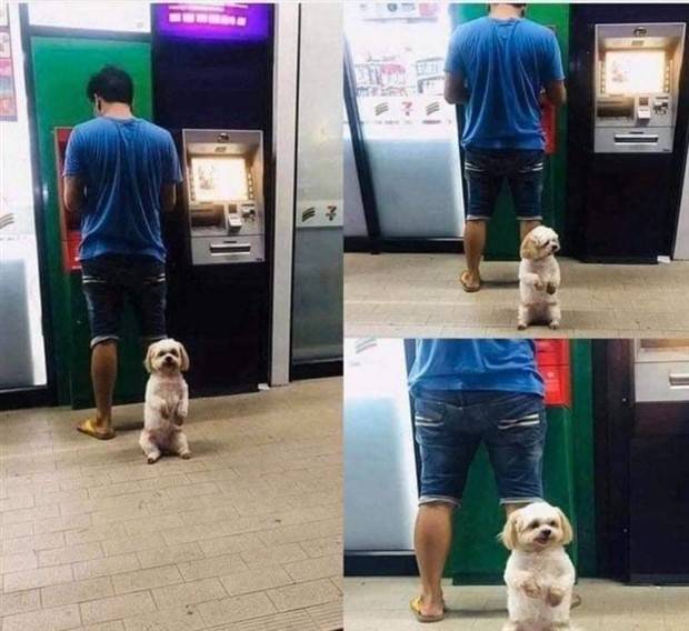 Klyker Picdump #1259 (54 photos)