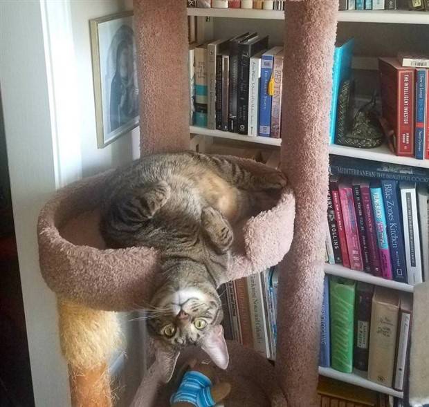 Klyker Picdump #1259 (54 photos)