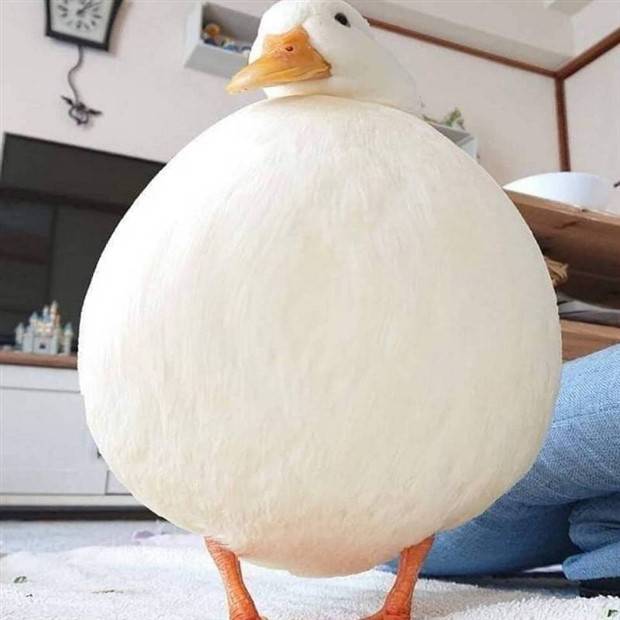 Klyker Picdump #1259 (54 photos)