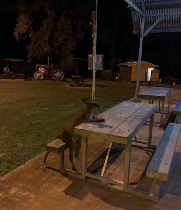 Klyker Picdump #1259 (54 photos)