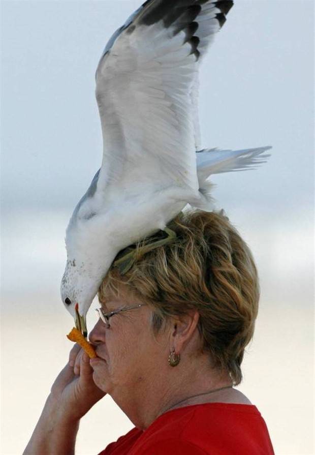 Klyker Picdump #1259 (54 photos)