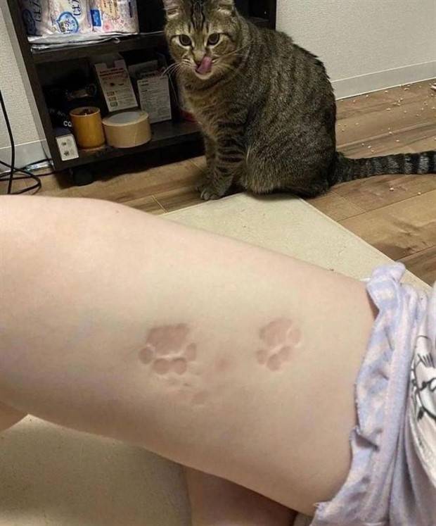 Klyker Picdump #1259 (54 photos)