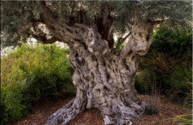 Klyker Picdump #1259 (54 photos)