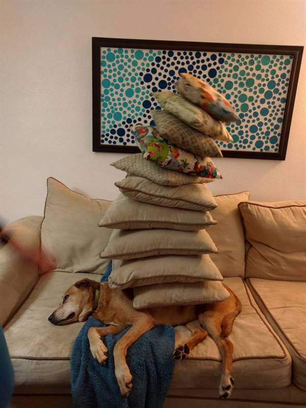 Klyker Picdump #1259 (54 photos)