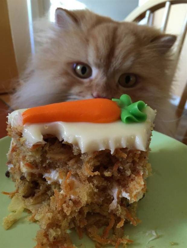 Klyker Picdump #1259 (54 photos)