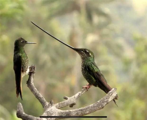 Klyker Picdump #1259 (54 photos)