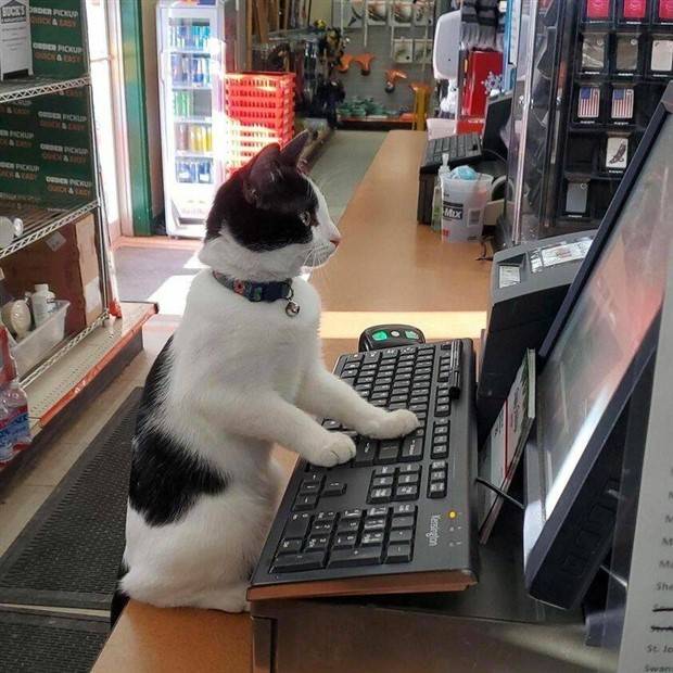 klyker picdump 8 8 2023 16 Klyker Picdump #1262 (52 photos)