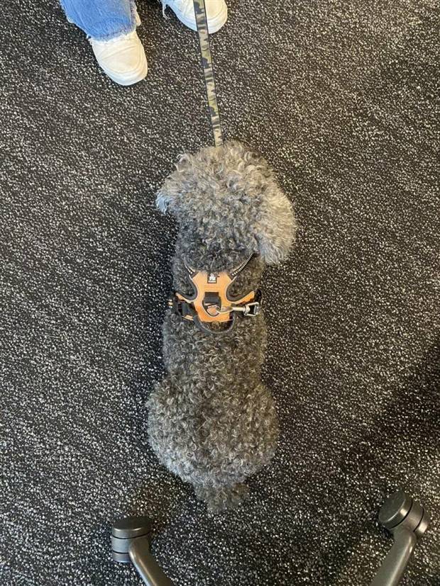 klyker picdump 8 8 2023 17 Klyker Picdump #1262 (52 photos)