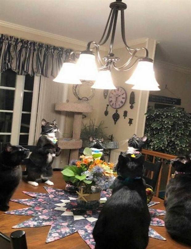 klyker picdump 8 8 2023 19 Klyker Picdump #1262 (52 photos)