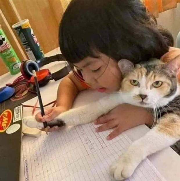 klyker picdump 8 8 2023 25 Klyker Picdump #1262 (52 photos)