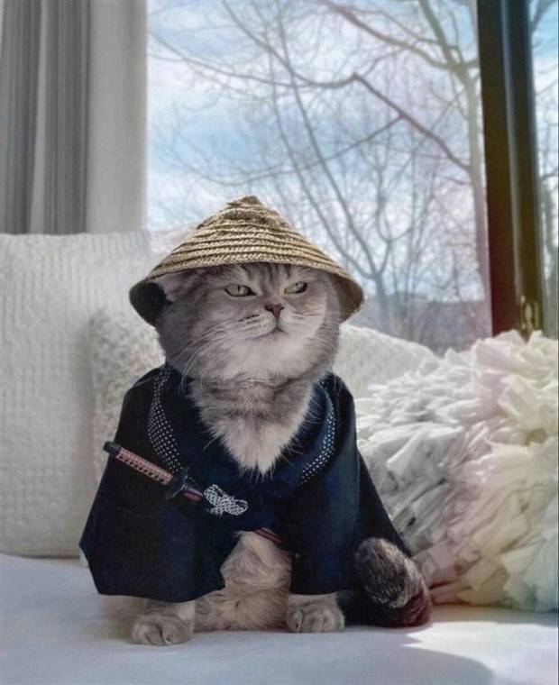 klyker picdump 8 8 2023 30 Klyker Picdump #1262 (52 photos)