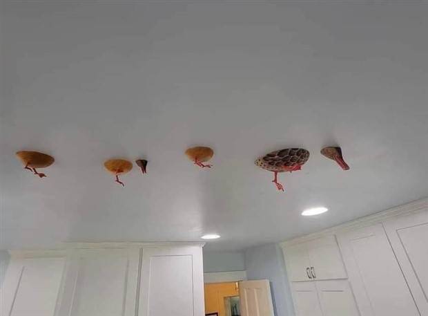 klyker picdump 8 8 2023 35 Klyker Picdump #1262 (52 photos)