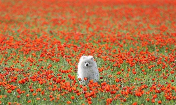 Klyker Picdump #1263 (53 photos)