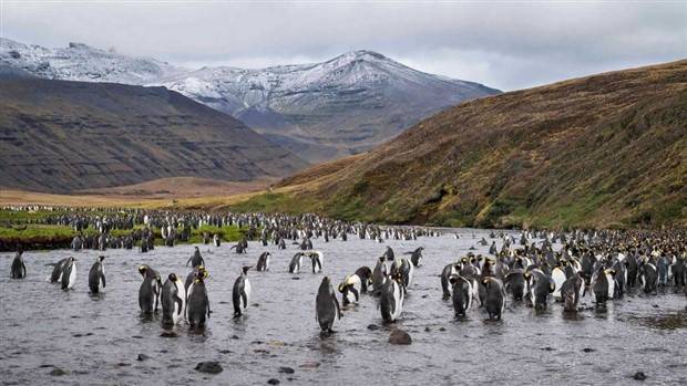 Klyker Picdump #1263 (53 photos)