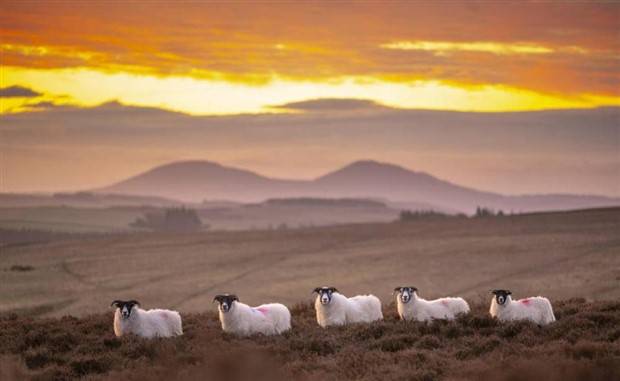 Klyker Picdump #1263 (53 photos)