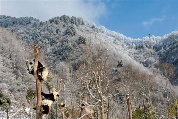 Klyker Picdump #1263 (53 photos)