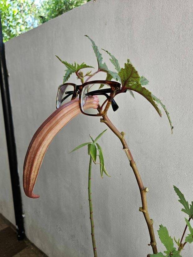 Klyker Picdump #1263 (53 photos)