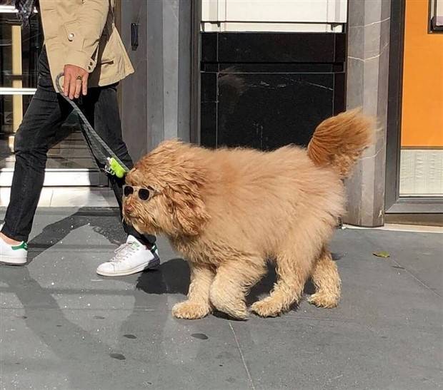 Klyker Picdump #1263 (53 photos)