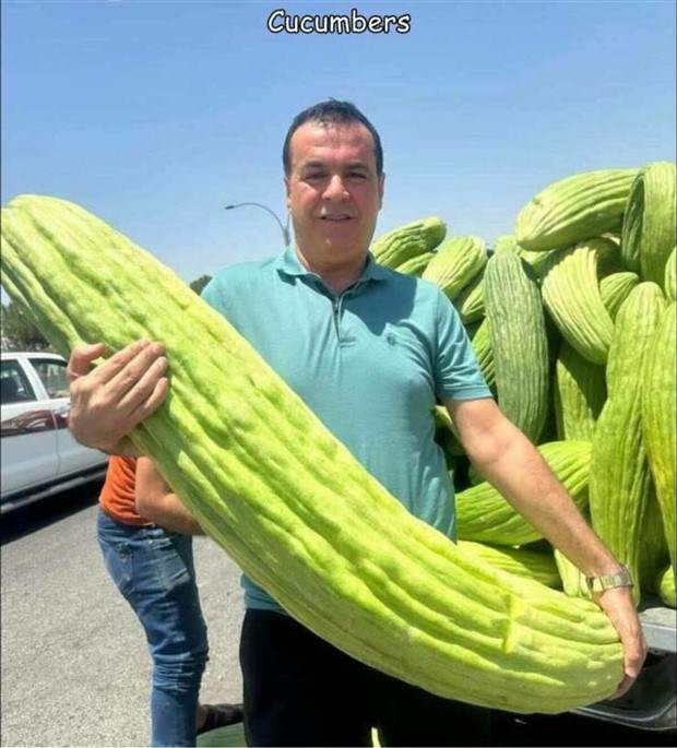 Interesting Pictures With Captions #62 (37 photos)