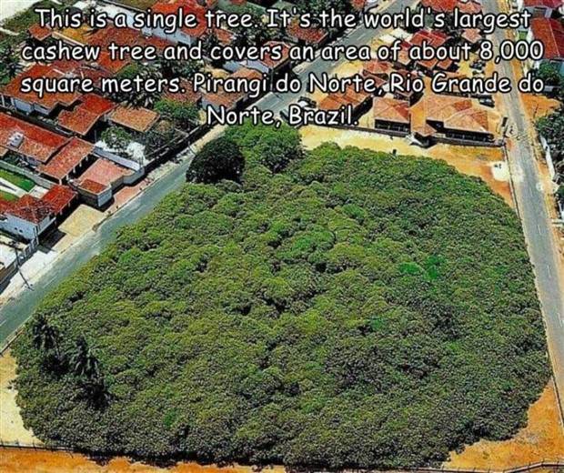 Interesting Pictures With Captions #62 (37 photos)