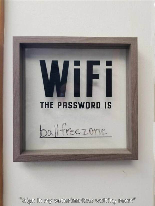 Interesting Pictures With Captions #62 (37 photos)