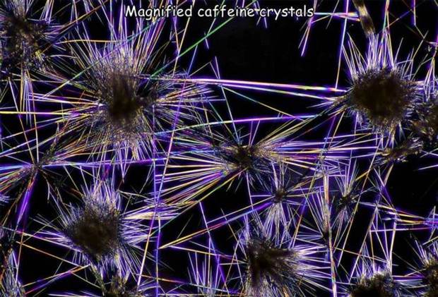 Interesting Pictures With Captions #62 (37 photos)