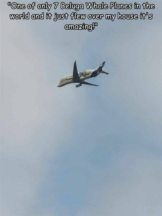 Interesting Pictures With Captions #65 (44 photos)