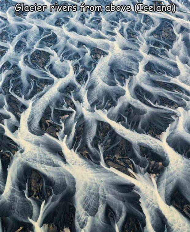 Interesting Pictures With Captions #65 (44 photos)