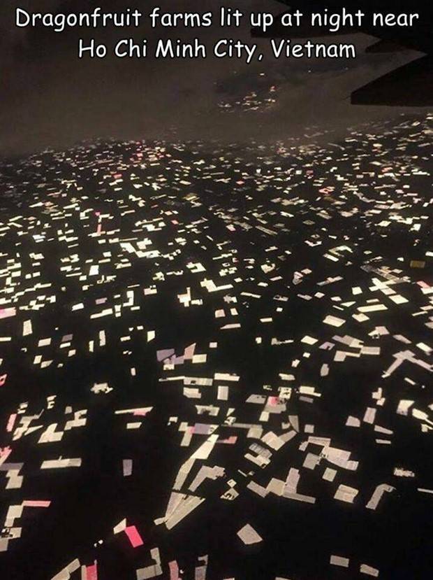 Interesting Pictures With Captions #65 (44 photos)