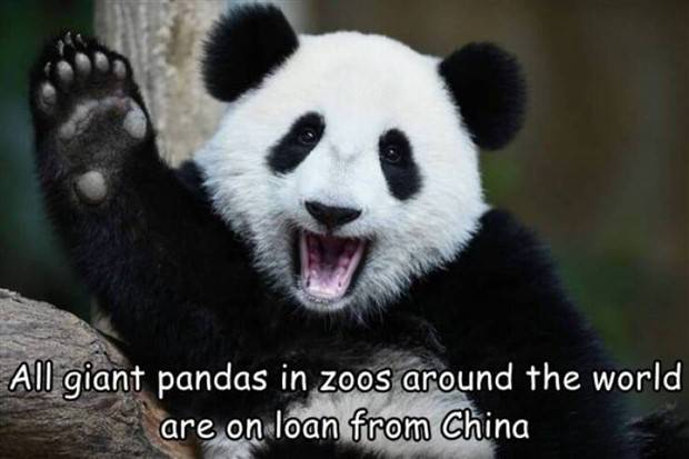 Interesting Pictures With Captions #65 (44 photos)