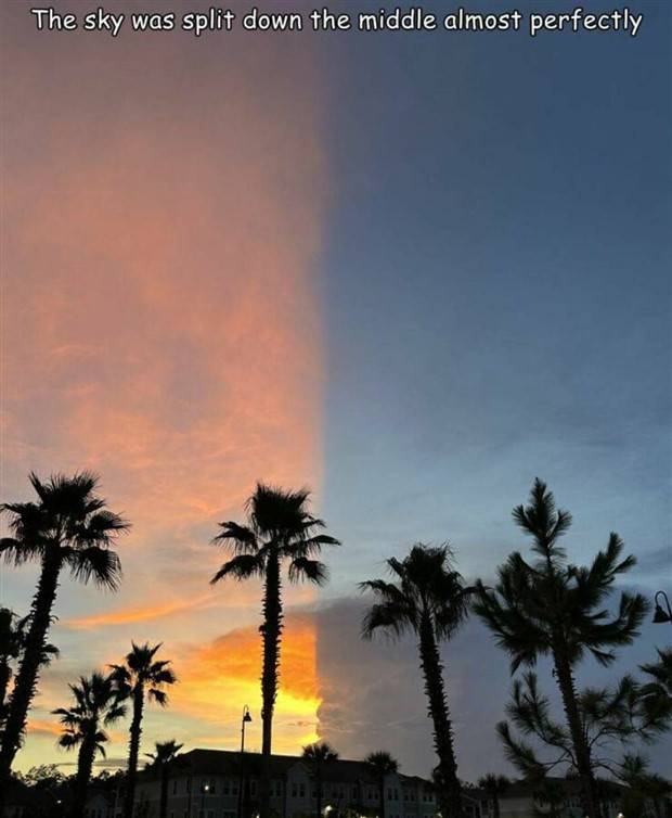 Interesting Pictures With Captions #65 (44 photos)