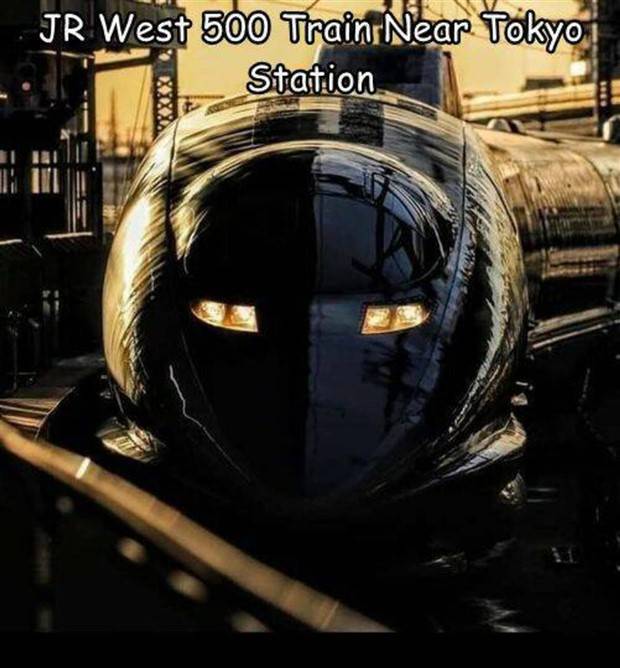 Interesting Pictures With Captions #65 (44 photos)