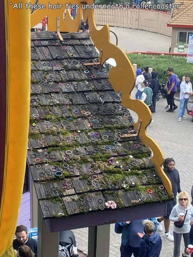 Interesting Pictures With Captions #65 (44 photos)