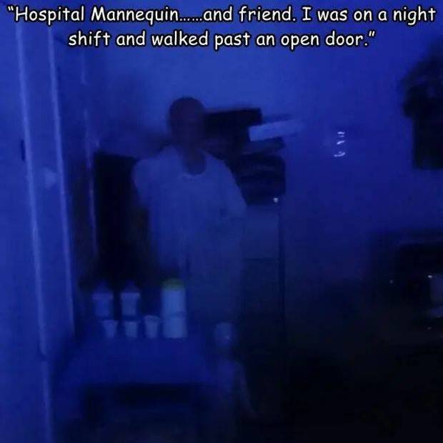 Interesting Pictures With Captions #65 (44 photos)