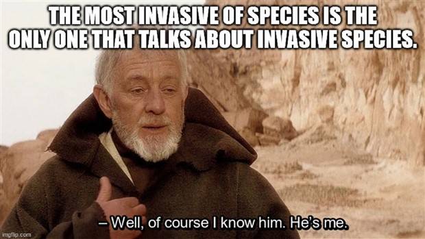 Funny Shower Thoughts #64 (32 photos)