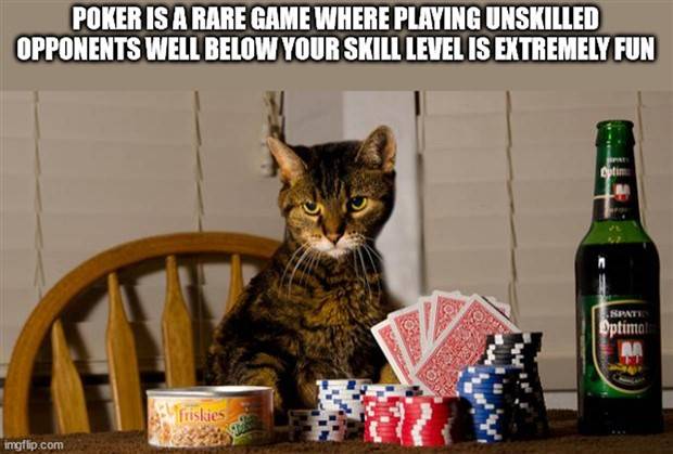 Funny Shower Thoughts #64 (32 photos)