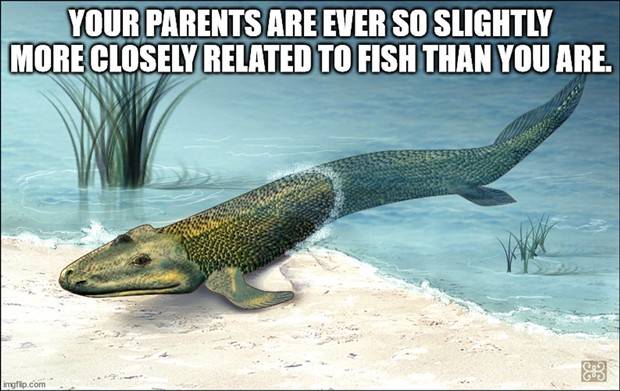 Funny Shower Thoughts #69 (31 photos)