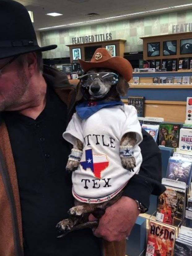 Get Ready for Funny Animals #297 (37 photos)