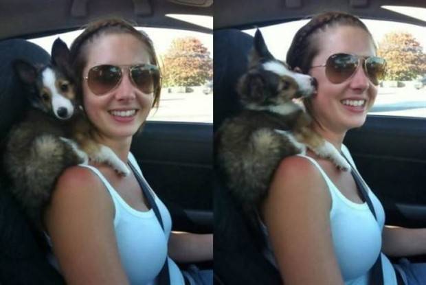 Get Ready for Funny Animals #297 (37 photos)