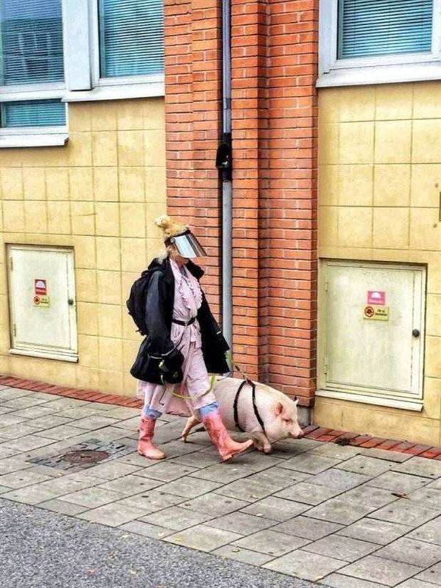 Get Ready for Funny Animals #297 (37 photos)