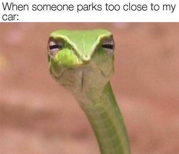 Funny Pics and Memes to Make You Laugh #67 (40 photos)