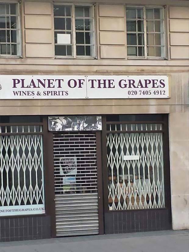 Hilariously Pun tastic Business Names (40 photos)